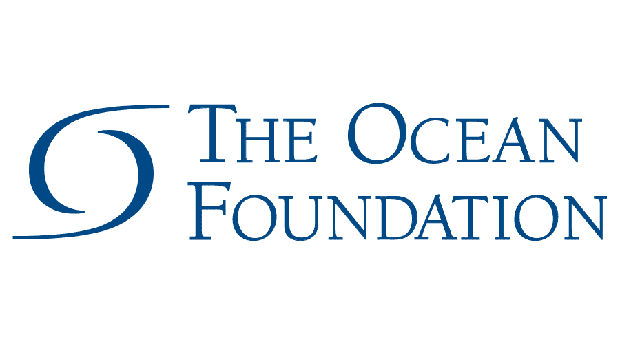 The Ocean Foundation
