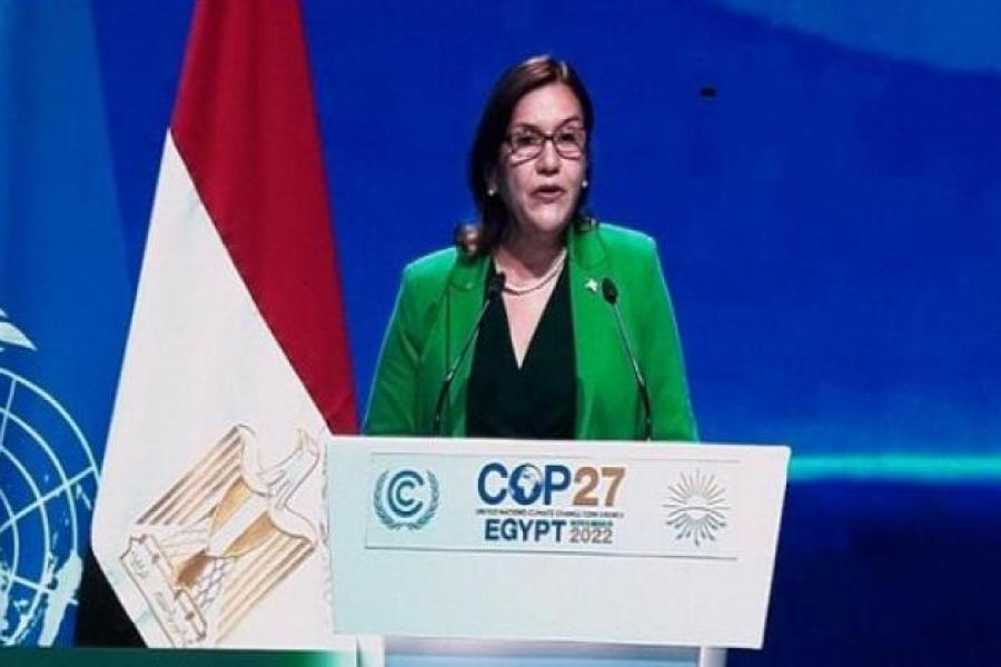 ministra ciencia tecnologia medio ambiente elba rosa perez montoya