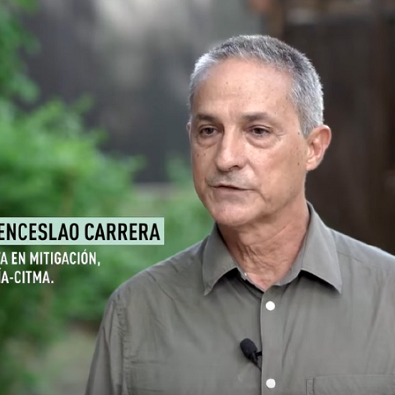 Wenceslao Carrera